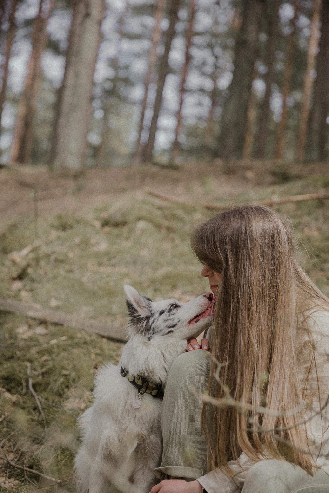 Collares para perros naturales