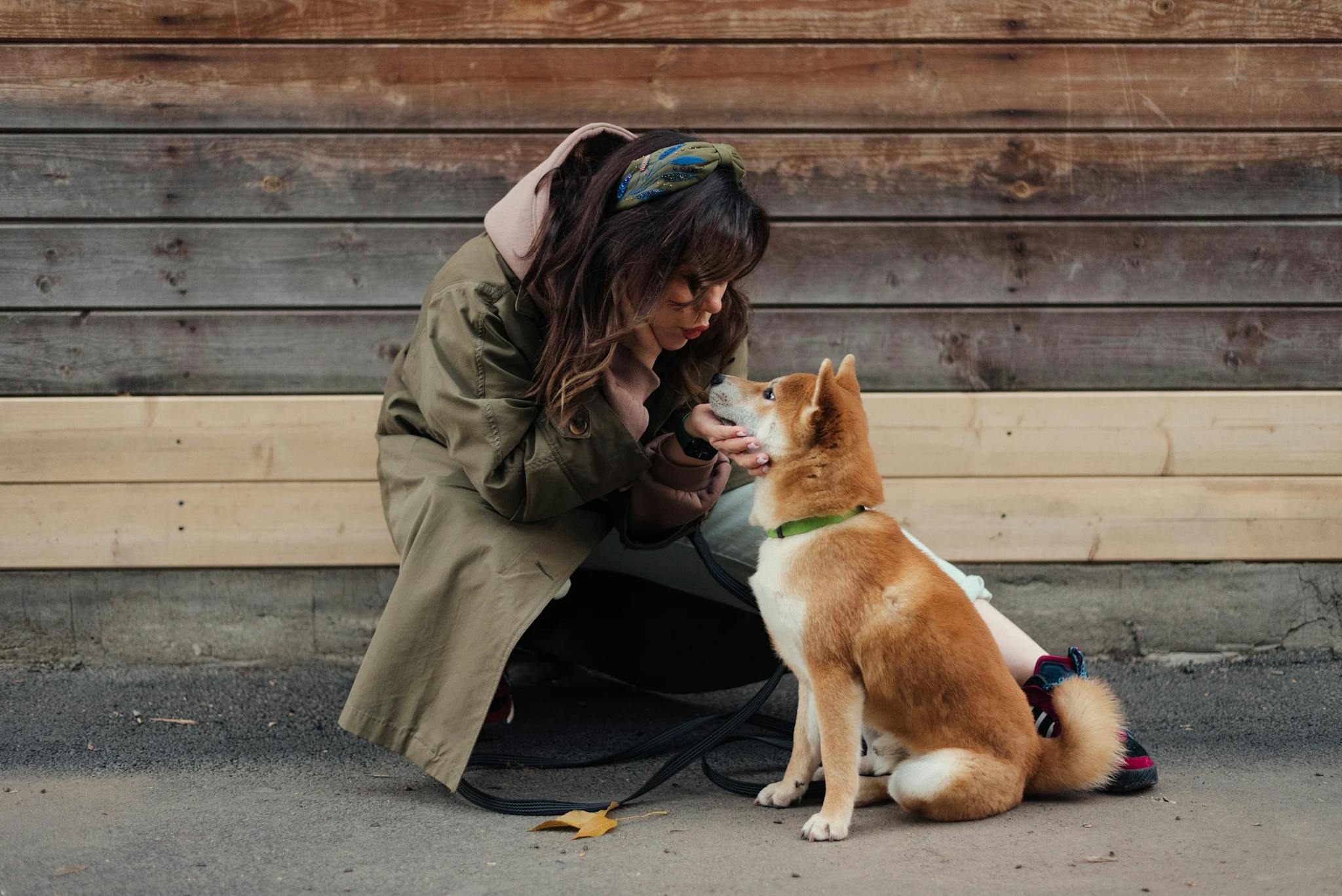 Arneses para perros biodegradables hemp